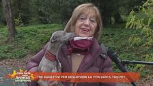 Tre aggettivi per descrivere la vita con il tuo pet