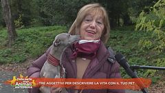 Tre aggettivi per descrivere la vita con il tuo pet