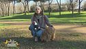 Qual è il momento giusto per prendere un pet?