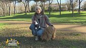 Qual è il momento giusto per prendere un pet?