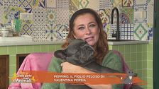 Peppino, il figlio peloso di Valentina Persia