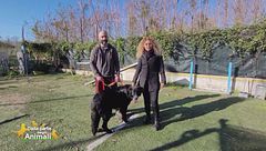 La storia di Anna di Castellammare di Stabia