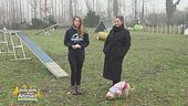 Impariamo divertendoci