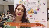 Pet Carpet - Un riciclo da Oscar