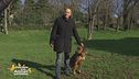 Il primo incontro con il tuo cane come è andato?