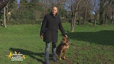 Il primo incontro con il tuo cane come è andato?