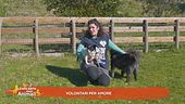 Volontari per amore
