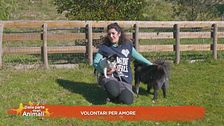 Volontari per amore