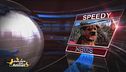 Speedy News