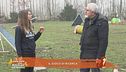 Il gioco di ricerca