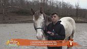 L'incredibile amicizia tra Cono e il suo cavallo Jay