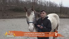 L'incredibile amicizia tra Cono e il suo cavallo Jay