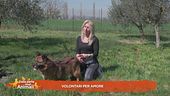 Volontari per amore