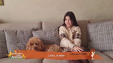 Come mai si dice che il cane è il migliore amico dell'uomo?