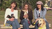 Atena, Zeus, Luna e Artù, la famiglia di: Pamela, Eleonora e Ilaria