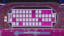 Animali in musica