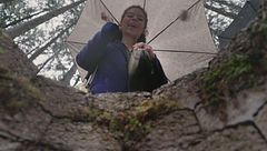 Il pozzo dei desideri