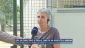 Lodi, dal canile dove si trova il cane che ha aggredito la bambina