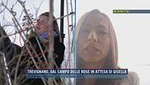 Trevignano, dal campo delle rose in attesa di Gisella