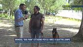Brindisi, "dog park" cittadino per gli amici a quattro zampe