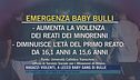 Ragazzi violenti, a Lecco baby gang di bulle