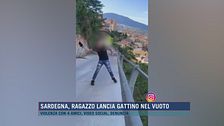 Sardegna, ragazzo lancia gattino nel vuoto