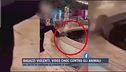 Alberobello, gatto annegato, video social choc