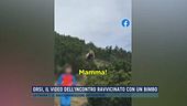Orsi, il video dell'incontro ravvicinato con un bimbo