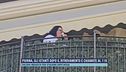 Pierina, gli istanti dopo il ritrovamento e chiamate al 118