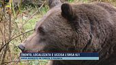 Trento, localizzata e uccisa l'orsa KJ1