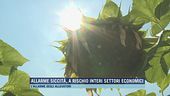 Alalrme siccità, a rischio interi settori economici