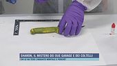 Sharon, il mistero dei due garage e dei coltelli