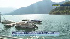 Lago di Como, il Ferragosto di chi ama l'acqua dolce