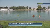 Dall' Idroscalo, il "mare" dei milanesi