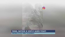 Torino, raffiche di vento e alberi piegati