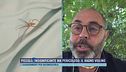 Allarme ragno violino: i sintomi e come riconoscerlo