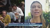 Diete d'estate, il cibo della longevità