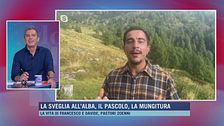 Francesco e Davide, giovani pastori influencer