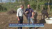 "Ho scelto di tornare nella mia terra e allevare asini"