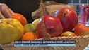 Cibo di stagione, cambiano le abitudini dell'estate all'autunno
