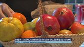 Cibo di stagione, cambiano le abitudini dell'estate all'autunno