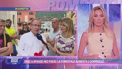 Orso a spasso nei paesi: la Forestale aumenta i controlli