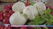 Mozzarella mania in Europa: è il formaggio più ricercato
