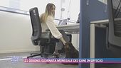 21 giugno, giornata mondiale dei cani in ufficio