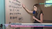 Pierina Paganelli, insulti scritti sui muri: a chi erano indirizzati?