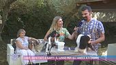 Chef, estetisti e sarti: il lusso per gli amici a 4 zampe