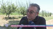 Omicidio Pierina, le parole di Giuliano