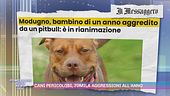 Cani pericolosi, 70mila aggressioni all'anno