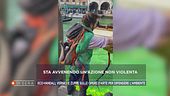 Eco-vandali, vernici e zuppe sulle opere d'arte per difendere l'ambiente