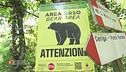 Il caso di "Kj1"